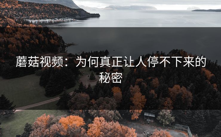 蘑菇视频：为何真正让人停不下来的秘密  第1张