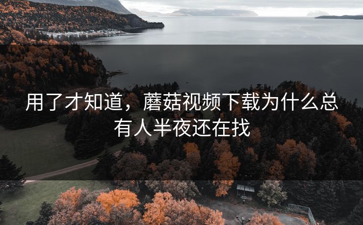 用了才知道,蘑菇视频下载为什么总有人半夜还在找 第1张 用了才知道,蘑菇视频下载为什么总有人半夜还在找 第1张