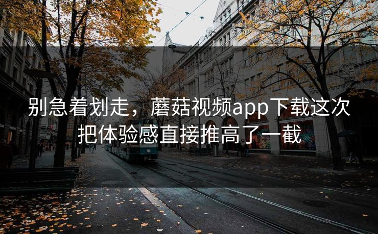 别急着划走，蘑菇视频app下载这次把体验感直接推高了一截  第1张