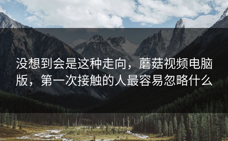没想到会是这种走向，蘑菇视频电脑版，第一次接触的人最容易忽略什么  第1张