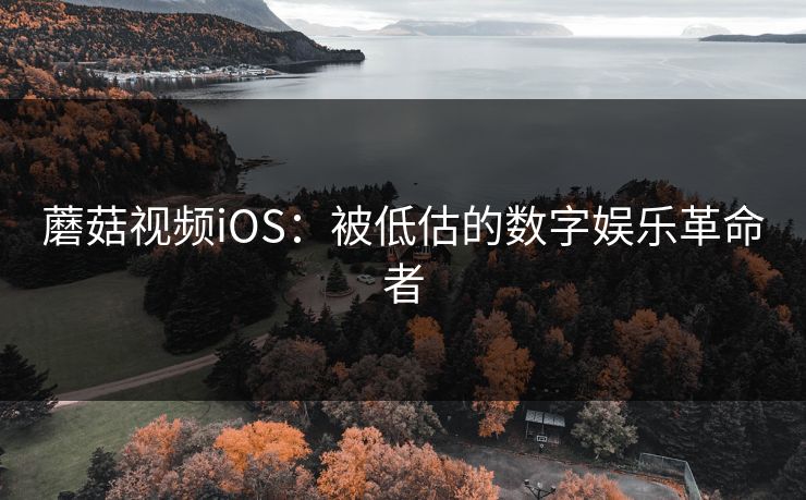 蘑菇视频iOS：被低估的数字娱乐革命者  第1张
