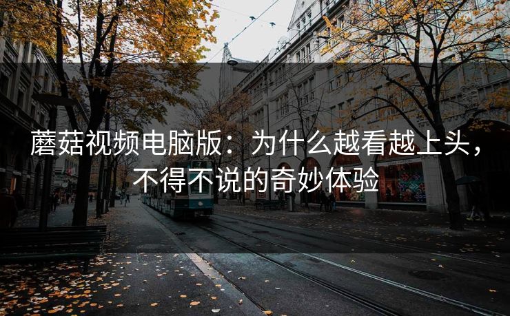 蘑菇视频电脑版：为什么越看越上头，不得不说的奇妙体验  第1张