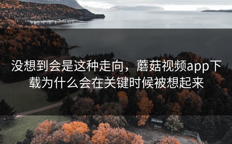 没想到会是这种走向，蘑菇视频app下载为什么会在关键时候被想起来  第1张