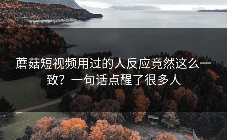 蘑菇短视频用过的人反应竟然这么一致？一句话点醒了很多人  第1张