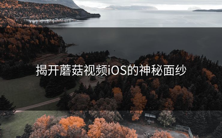 揭开蘑菇视频iOS的神秘面纱  第1张