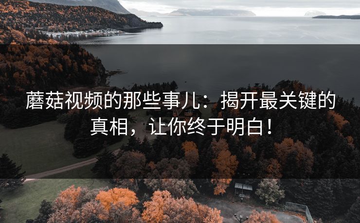 蘑菇视频的那些事儿：揭开最关键的真相，让你终于明白！  第1张