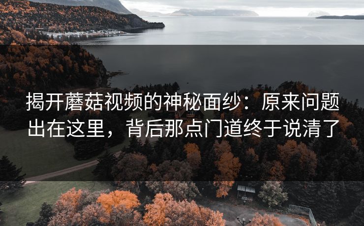 揭开蘑菇视频的神秘面纱：原来问题出在这里，背后那点门道终于说清了  第1张