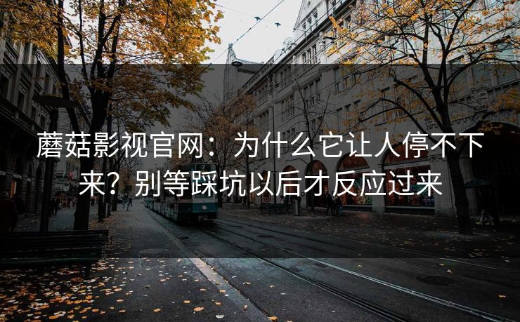 蘑菇影视官网：为什么它让人停不下来？别等踩坑以后才反应过来  第1张