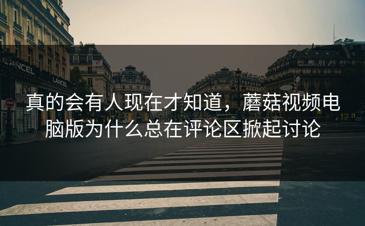 真的会有人现在才知道，蘑菇视频电脑版为什么总在评论区掀起讨论  第1张