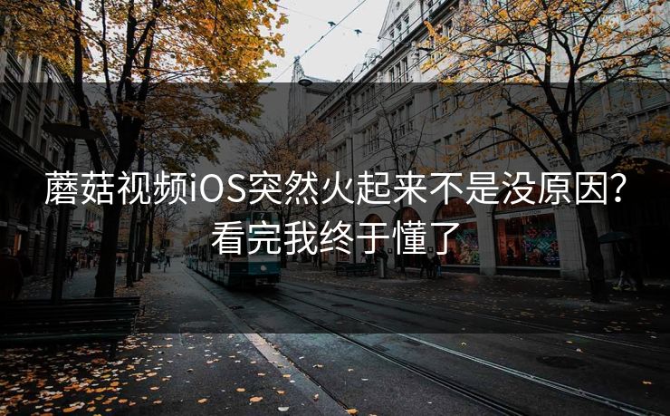 蘑菇视频iOS突然火起来不是没原因？看完我终于懂了  第1张