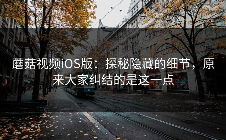 蘑菇视频iOS版：探秘隐藏的细节，原来大家纠结的是这一点  第1张